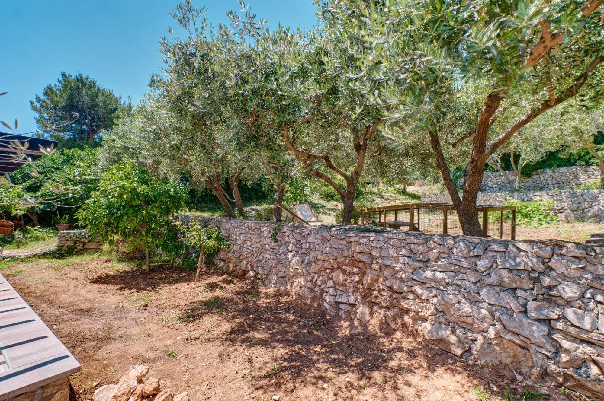 Providenca Accommodation Mali Losinj Ngoại thất bức ảnh